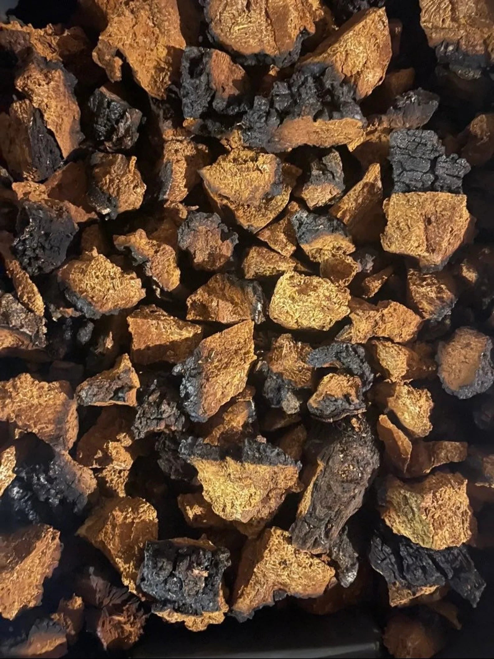 medicinal mushrooms chaga- rootandbones