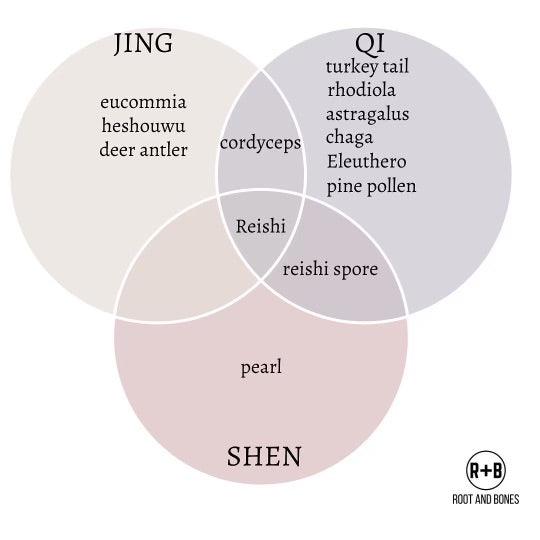 The Three Treasures: Jing, Qi and Shen – Root + Bones